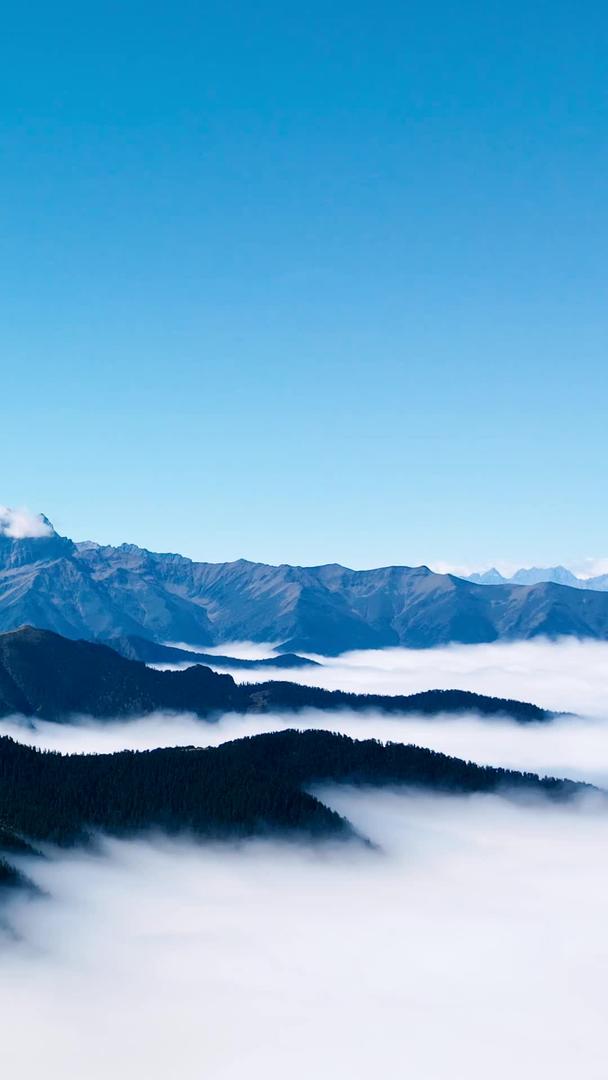 航拍藏区云海之上的山脉和远处雪山的自然风光视频的预览图