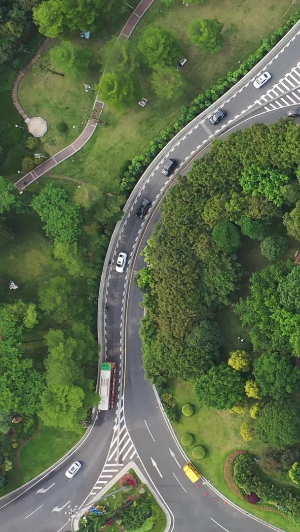 广州二沙岛交通视频的预览图