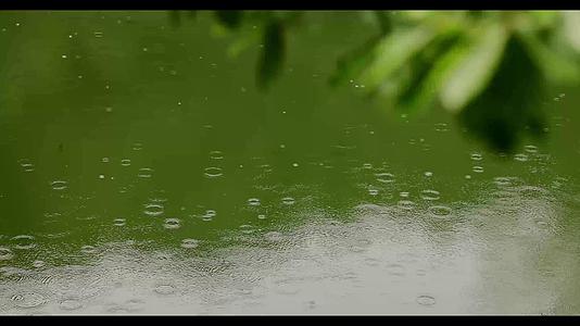 夏季雨天池塘溅起的波纹雨滴视频的预览图
