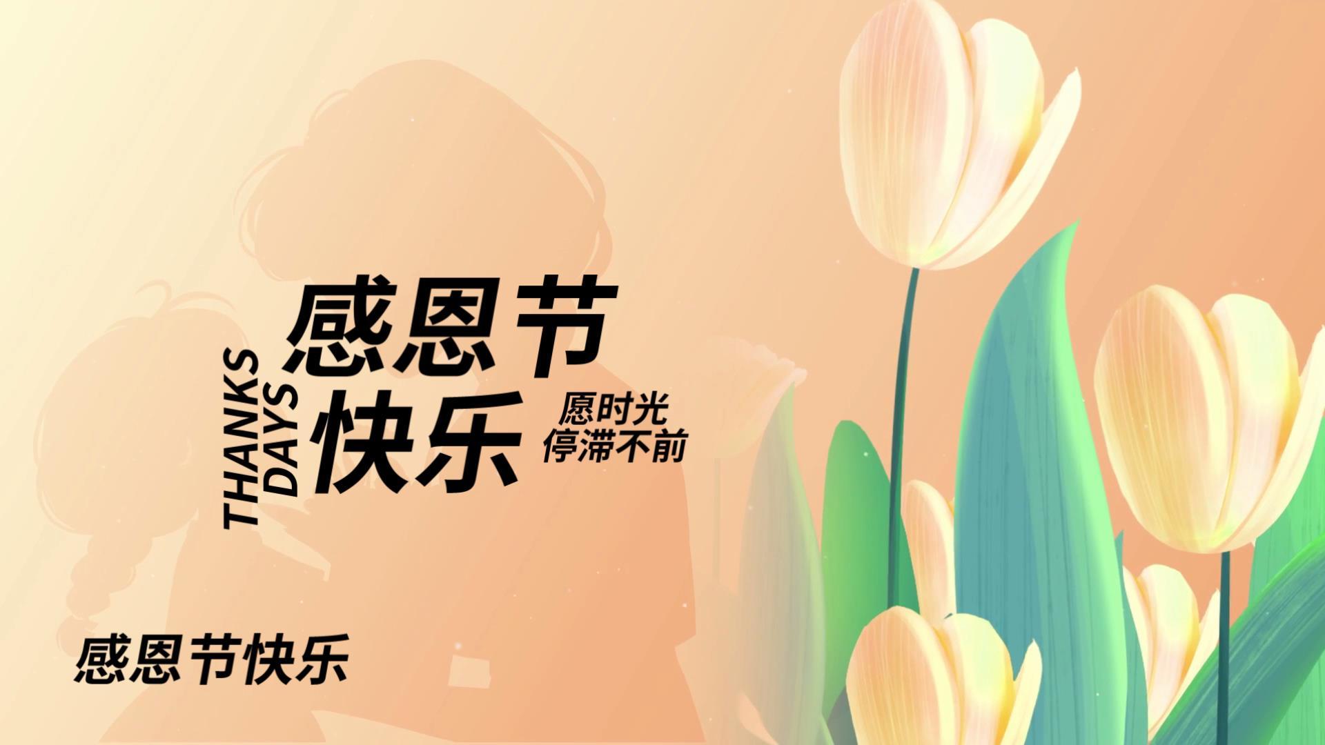 简洁清新感恩节片头展示会声音会影模板视频的预览图