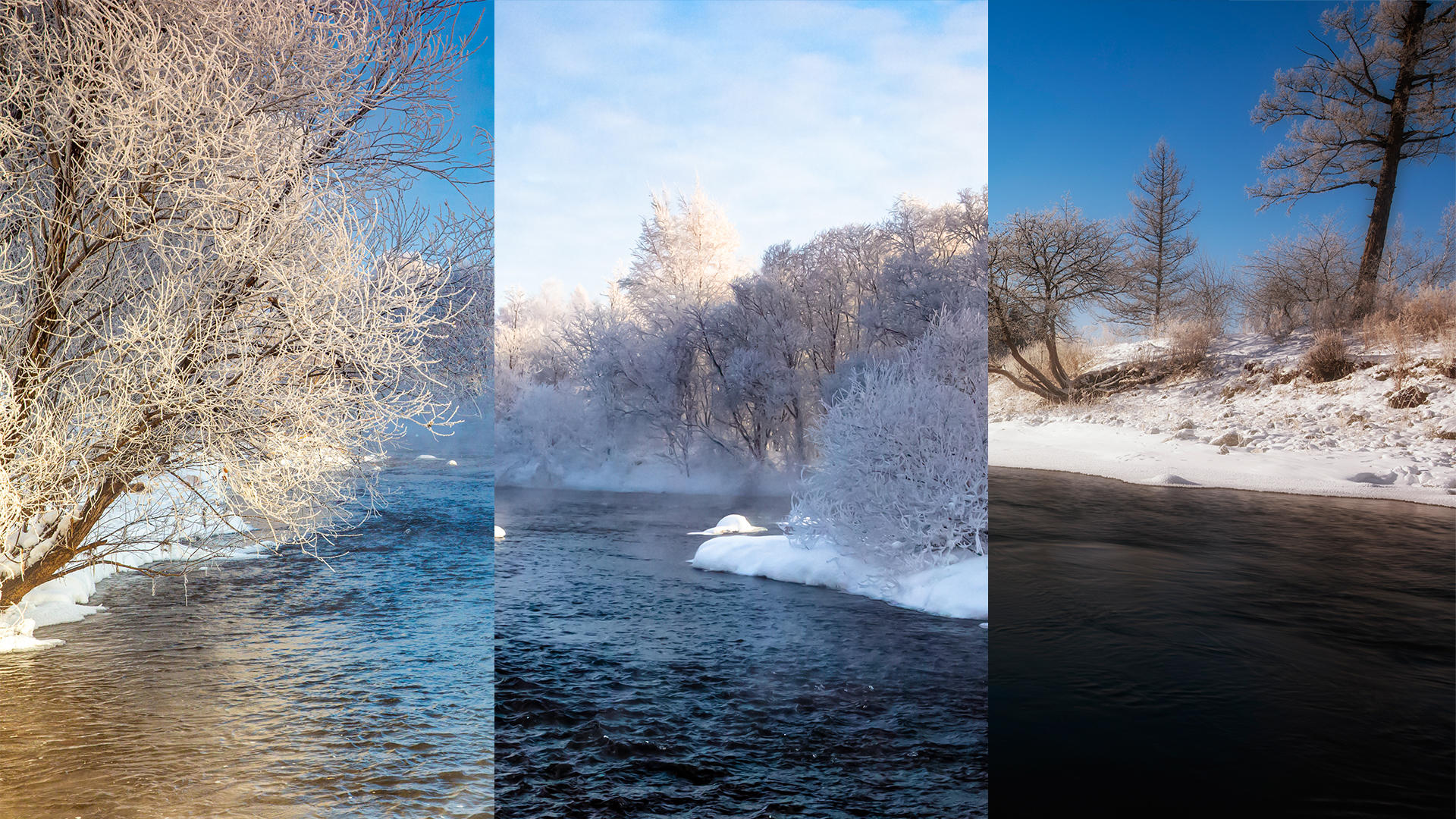 冬天冬天的河流和雾凇树挂在冬天视频的预览图