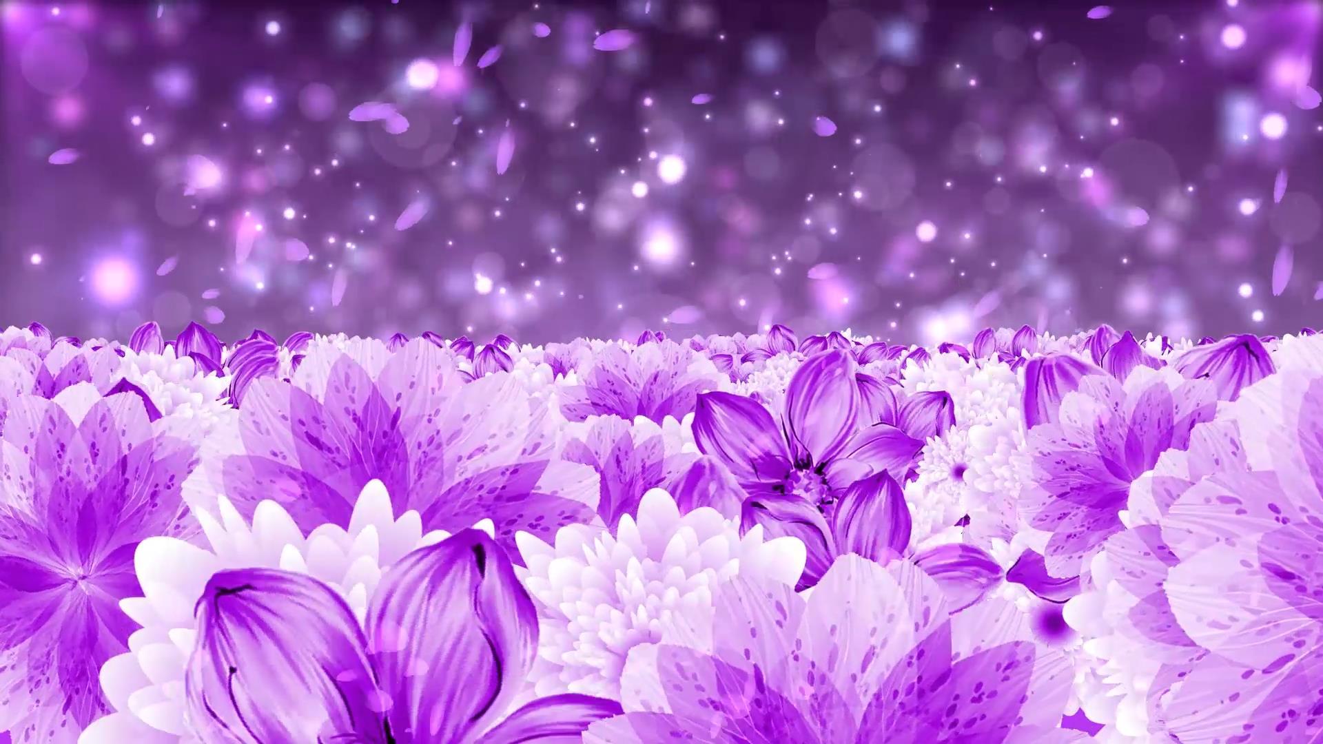 唯美大气紫色花海动态粒子光效背景视频元素视频的预览图