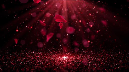 4K唯美动态红色粒子玫瑰花瓣飘散背景视频视频的预览图