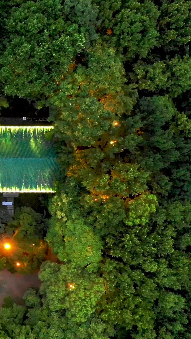 东湖绿道和古建筑晚上星光点点的航拍视频的预览图