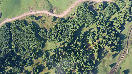 4K航拍新疆天山山脉原始森林风光旅游视频的预览图