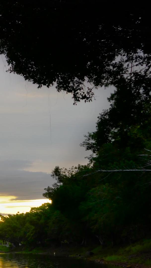 夕阳黄昏湖泊树林延时集合视频的预览图