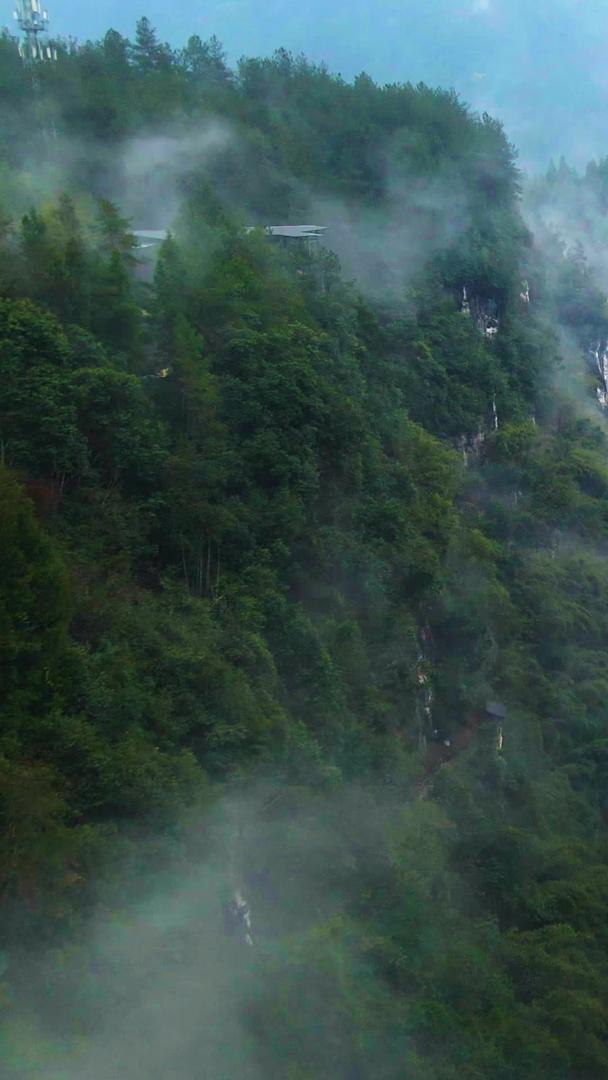 航拍阿依河河峡谷云雾缭绕青山绿水视频的预览图