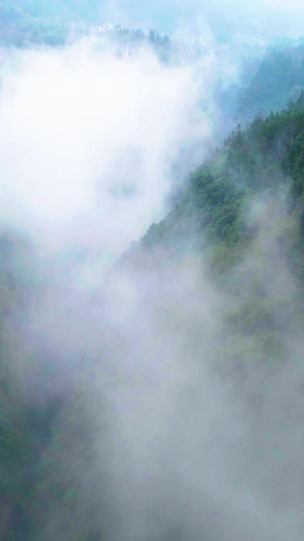航拍阿依河河峡谷云雾缭绕青山绿水视频的预览图
