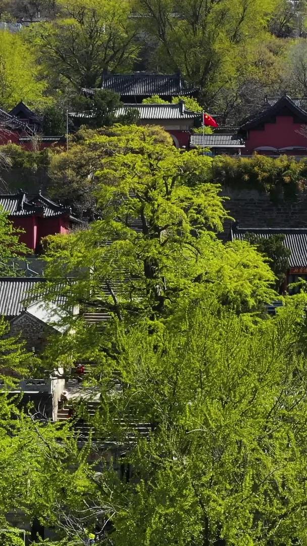 5A景区花果山道教建筑群三元宫航拍视频视频的预览图