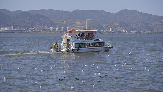 云南昆明滇池海埂大坝海鸥轮船旅游视频的预览图