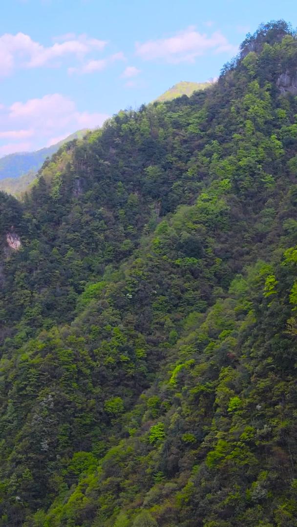 神农架关门山5A景区航拍环绕视频的预览图