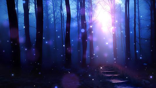 黑夜梦幻般唯美森林光效粒子背景视频元素视频的预览图