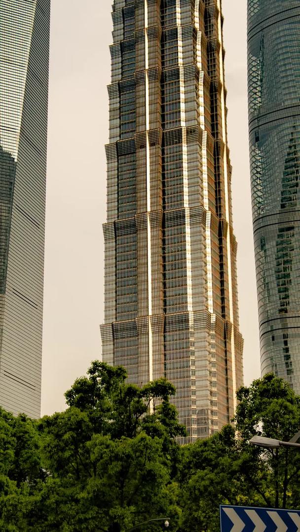 上海三件套环球金融中心Cbd延迟摄影城市地标视频的预览图