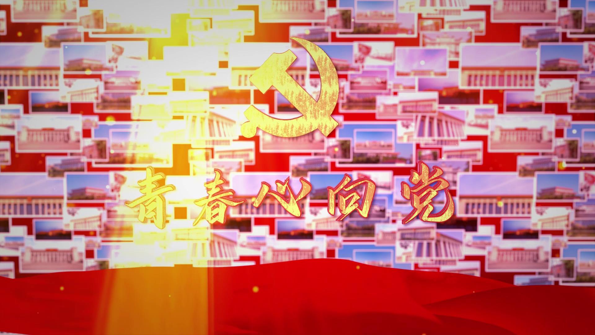 党政照片墙ae模版视频的预览图
