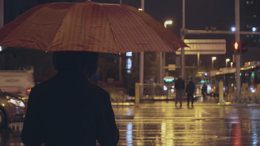 4k城市雨夜打伞的行人视频的预览图