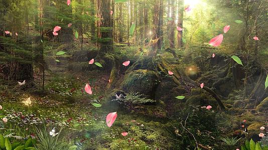 唯美森林树叶花瓣飘落动态视频元素视频的预览图