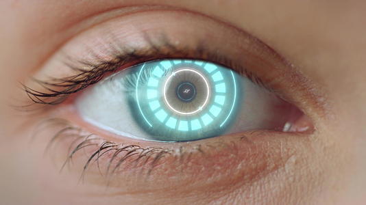 眼睛扫描拒绝系统访问生物特征识别过程视频的预览图
