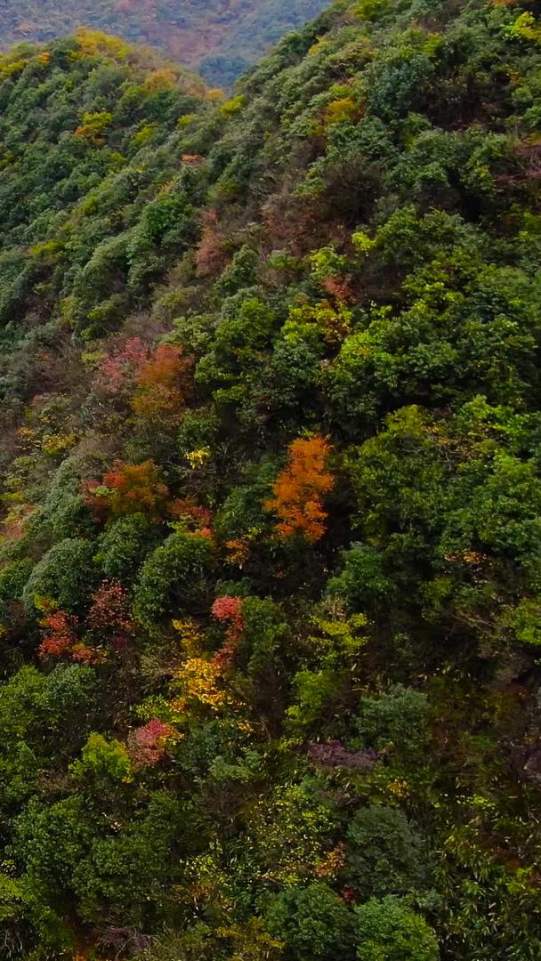 盘山公路视频蜿蜒曲折的航拍视频的预览图