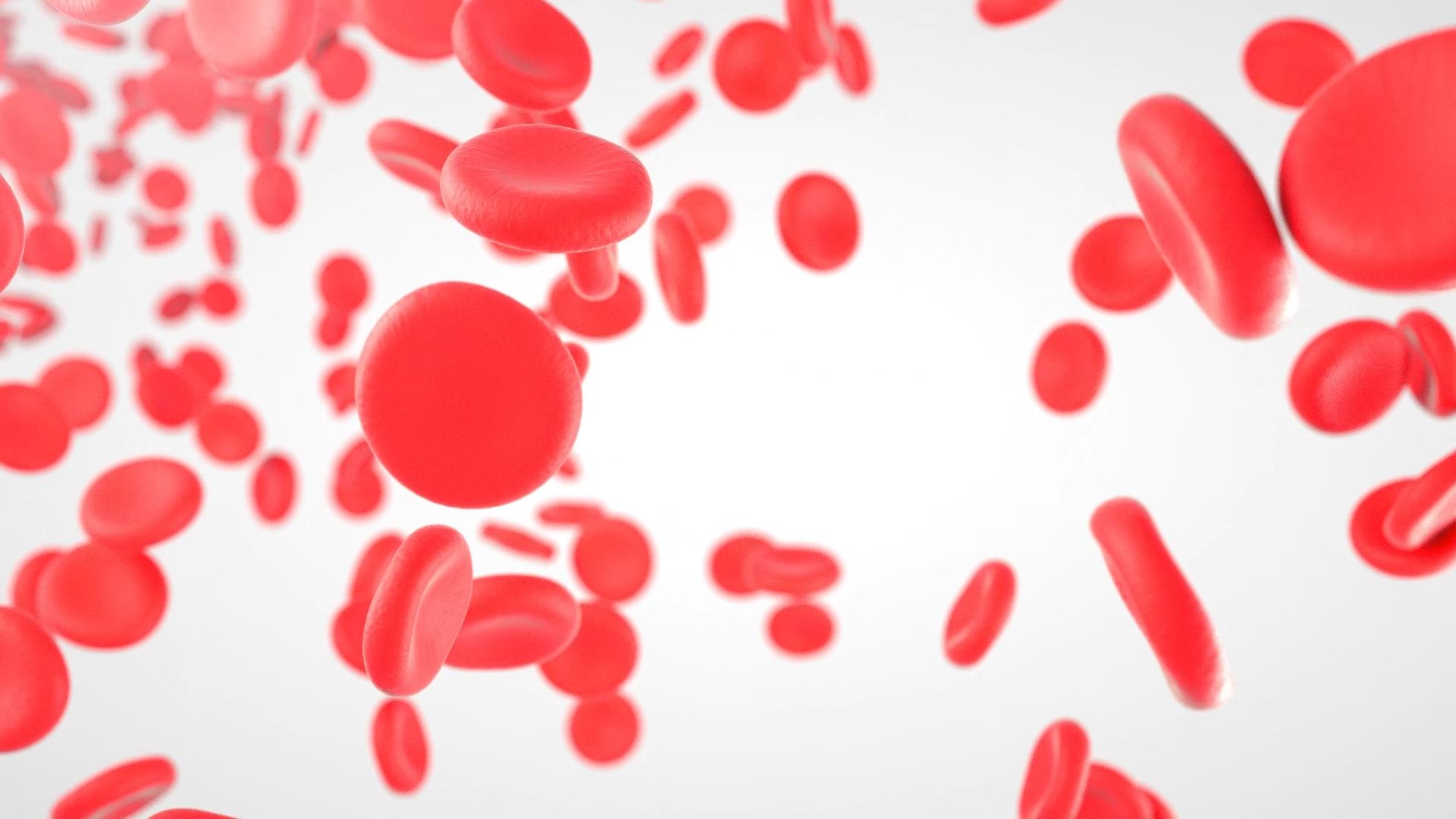 微观红细胞三维无缝循环动画视频的预览图