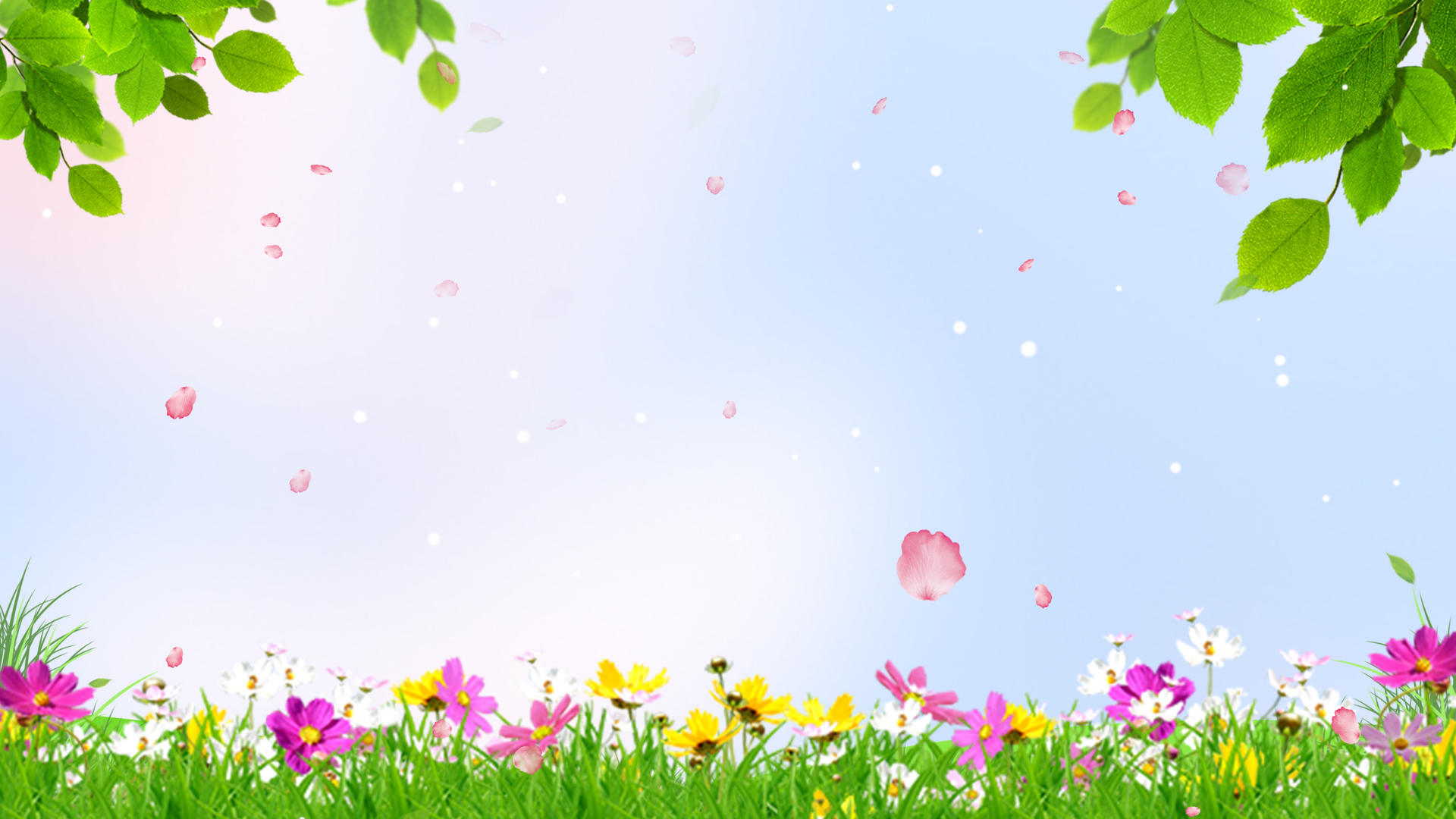 春季唯美春季花朵清新动态背景视频4K视频的预览图