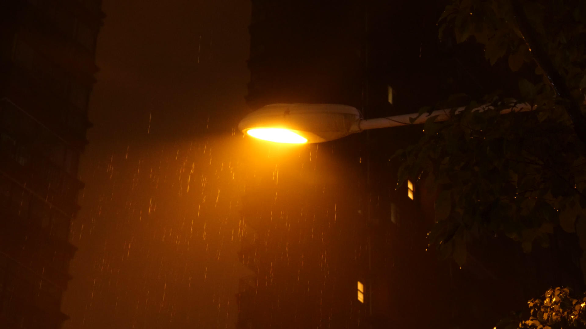 4K雨夜路灯昏黄的路灯雨中路灯下雨天视频的预览图