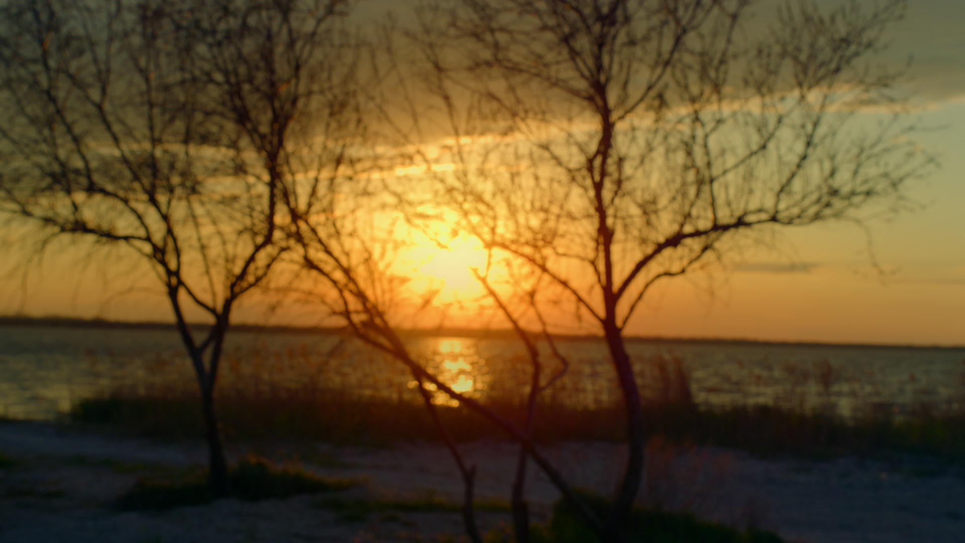 日落和地平线照耀在海洋自然景观中视频的预览图