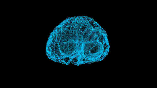 三维粒子大脑视频的预览图