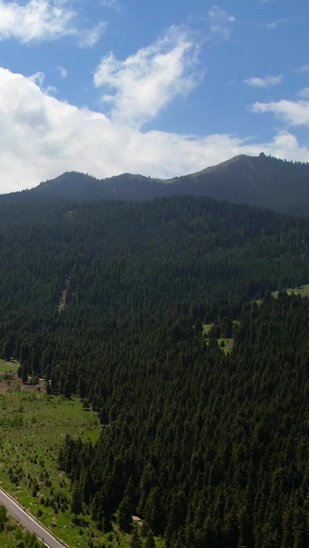 天山天池和博格达峰航拍5A景点视频视频的预览图