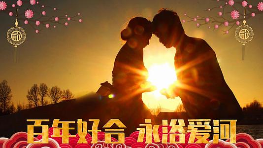 中国风婚礼展示粒子花瓣飞舞感人绚丽会声会影模板视频的预览图