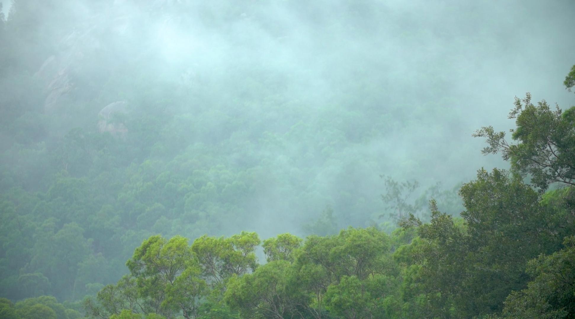 山谷云雾升起视频的预览图