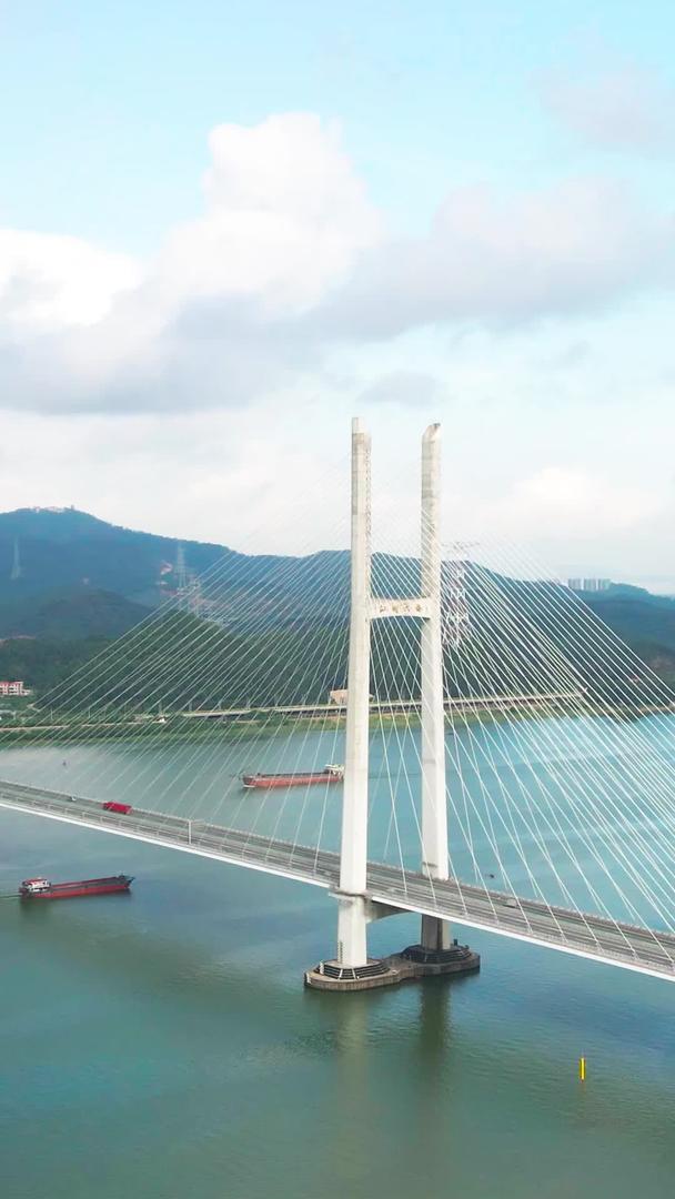 城市河流大桥视频的预览图