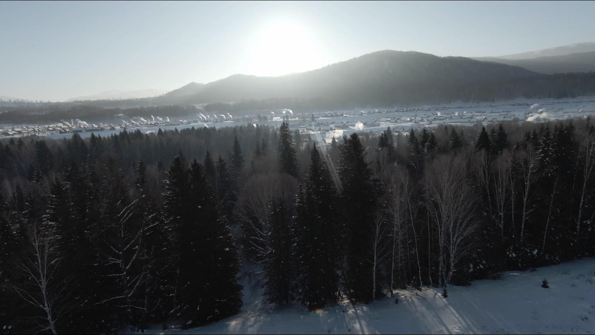 4K新疆航拍飞过积雪的树林和房屋视频的预览图