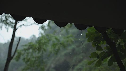 雨滴从屋檐落下视频的预览图