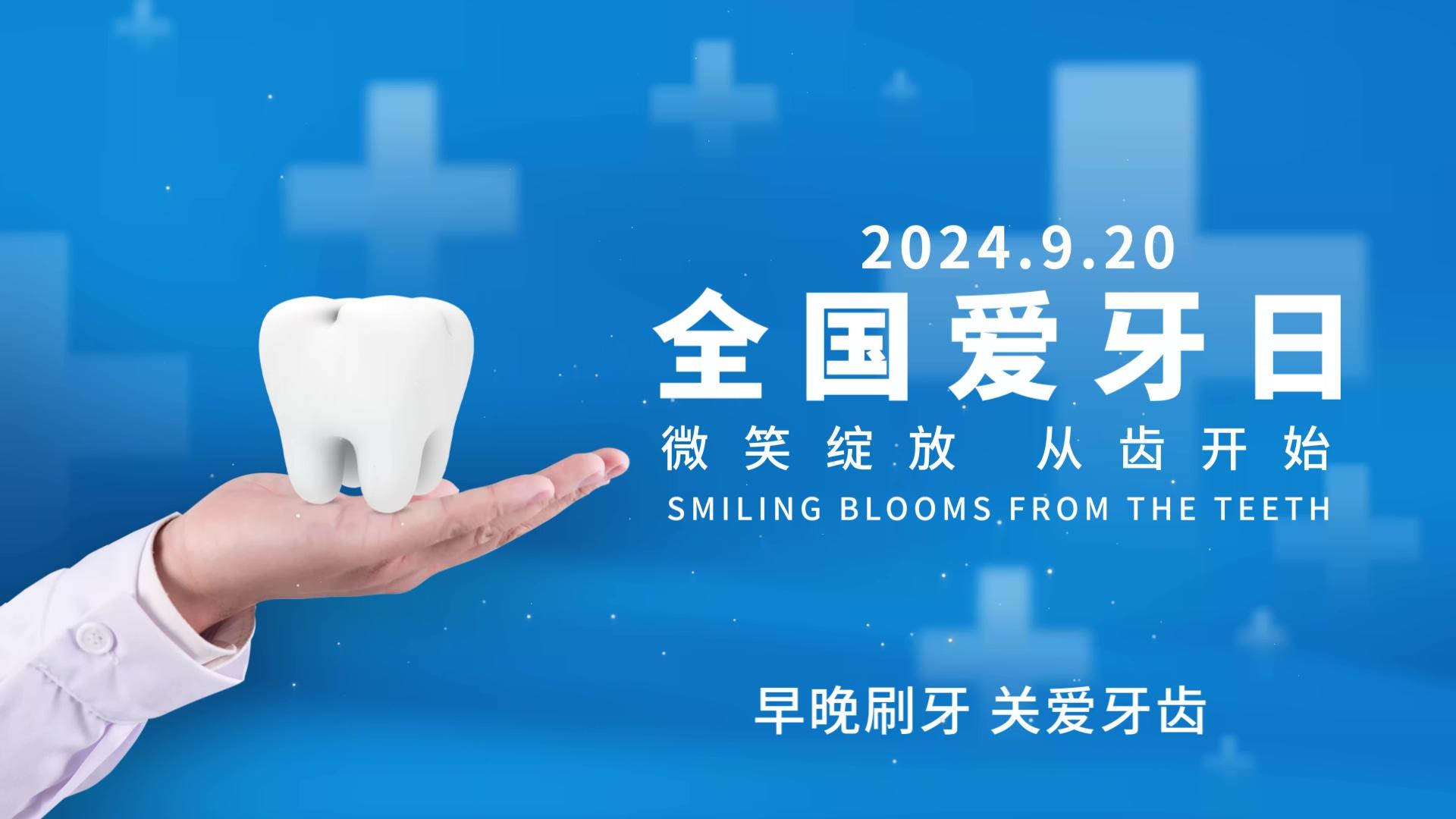 简洁清新全国爱牙日片头展示AE模板视频的预览图