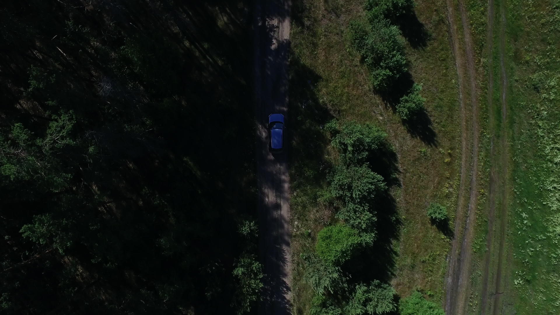 在山路和树林之间行驶的汽车视频的预览图