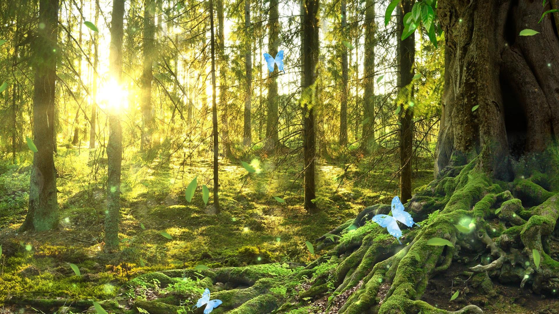 森林光效动态粒子光晕视频背景元素视频的预览图