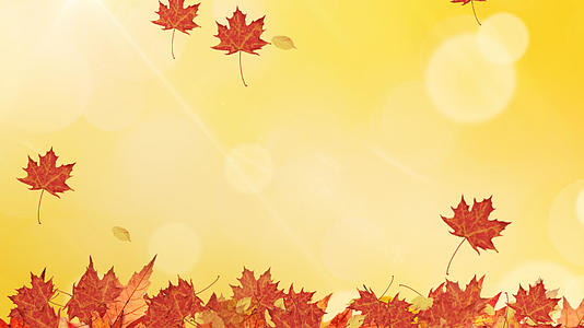金色秋天背景视频的预览图