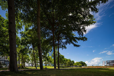 6K高清城市公园建设绿草地悠闲夏日视频的预览图