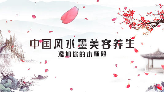 中国风水墨养生美容宣传AE模板视频的预览图
