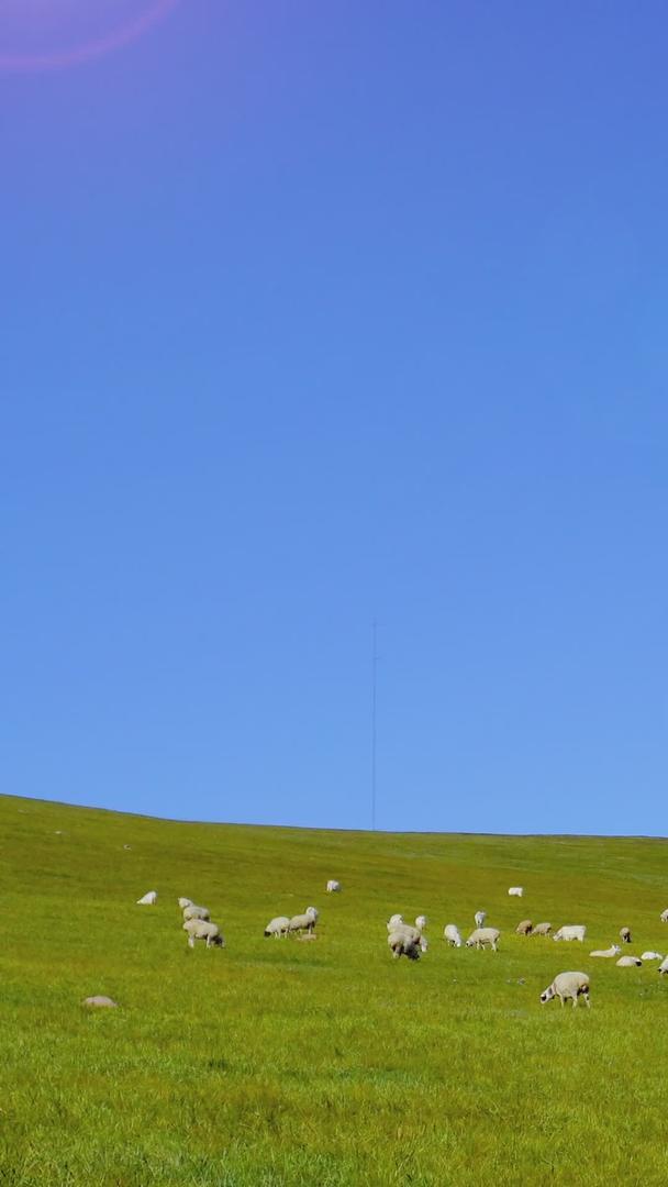 风车羊群在草原上视频的预览图