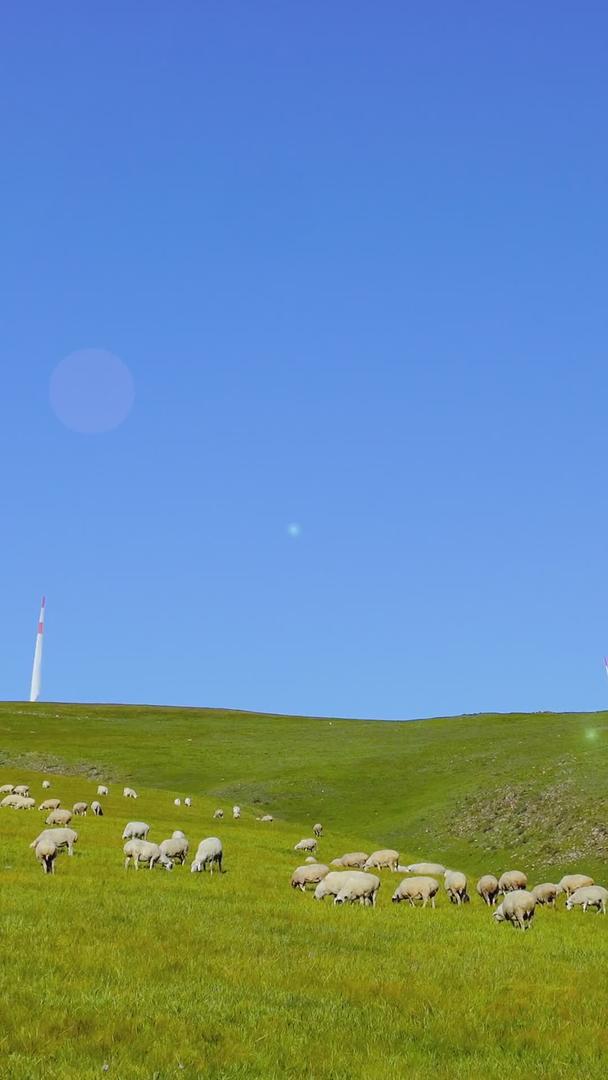 风车羊群在草原上视频的预览图