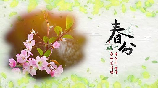 清新唯美二十四节气春分图文视频的预览图