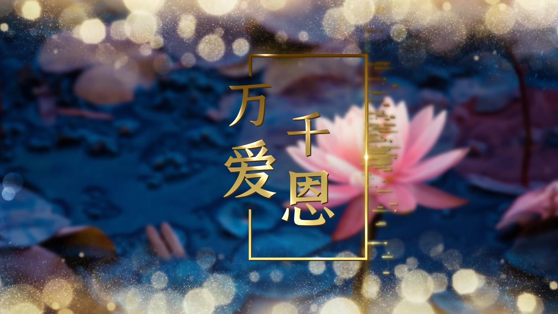 万爱千恩歌曲背景带歌词字幕pr合成 潮点视频shipin5 Com