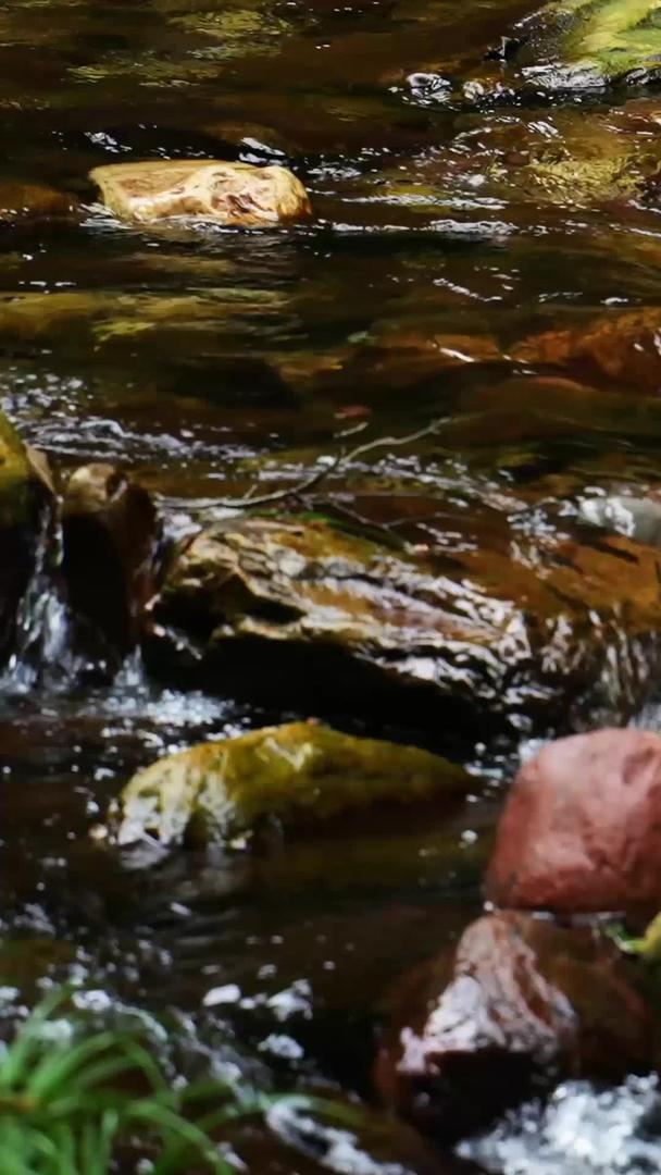 慢镜头升级拍摄湖南5A级旅游景区张家界金鞭溪流水素材视频的预览图