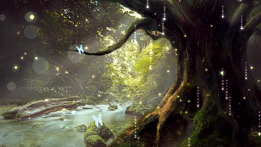 幽静森林动态流水视频背景元素视频的预览图