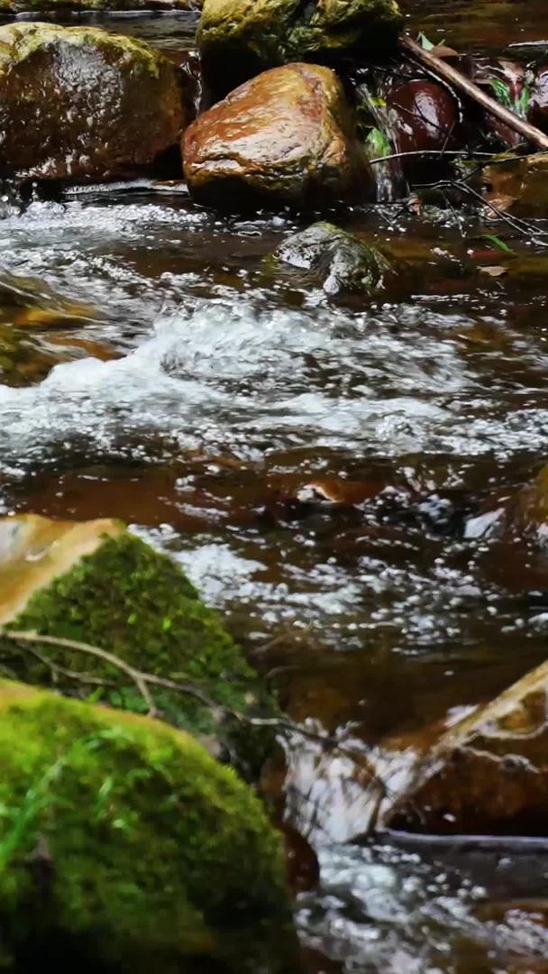 慢镜头升级拍摄湖南5A级旅游景区张家界金鞭溪流水素材视频的预览图