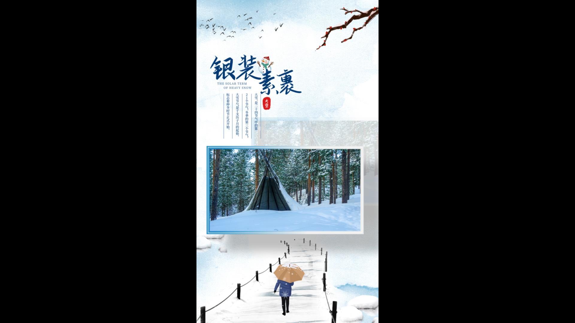 简洁大气大雪节气竖版图文AE模板视频的预览图