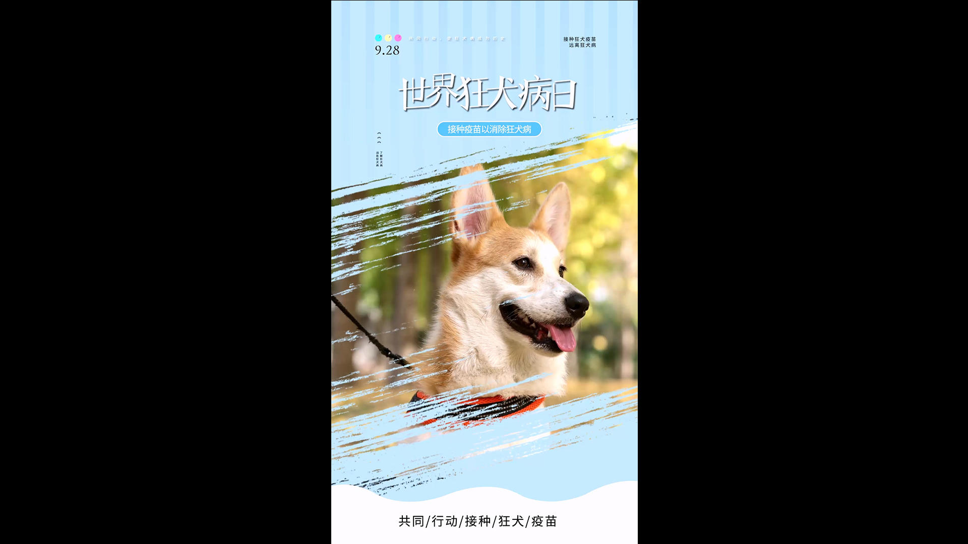 简洁动感的世界狂犬病日海报AE模板视频的预览图