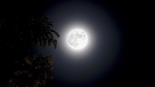 中秋圆月满月视频的预览图