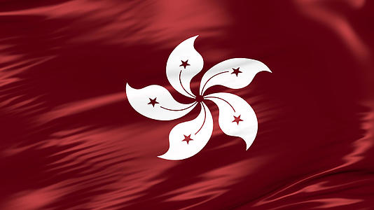 香港紫荆花丝绸背景视频的预览图